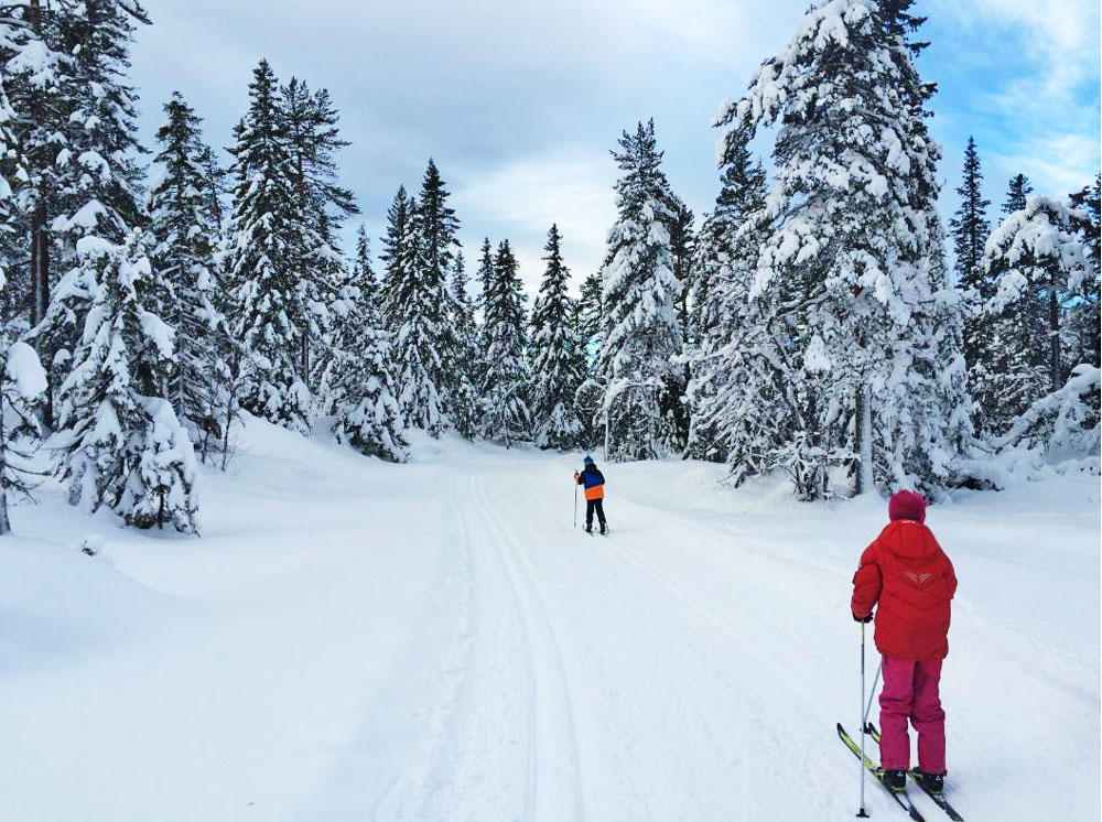 Svanstul/Luksefjell recreation Area - Cross Country in Skien, Skien - Skien