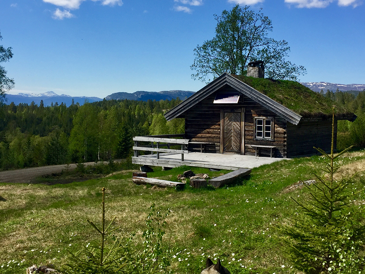 Bolkesjø Gård - Guest Farm In Notodden, Notodden - Notodden