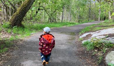 A perfect trail for families with kids