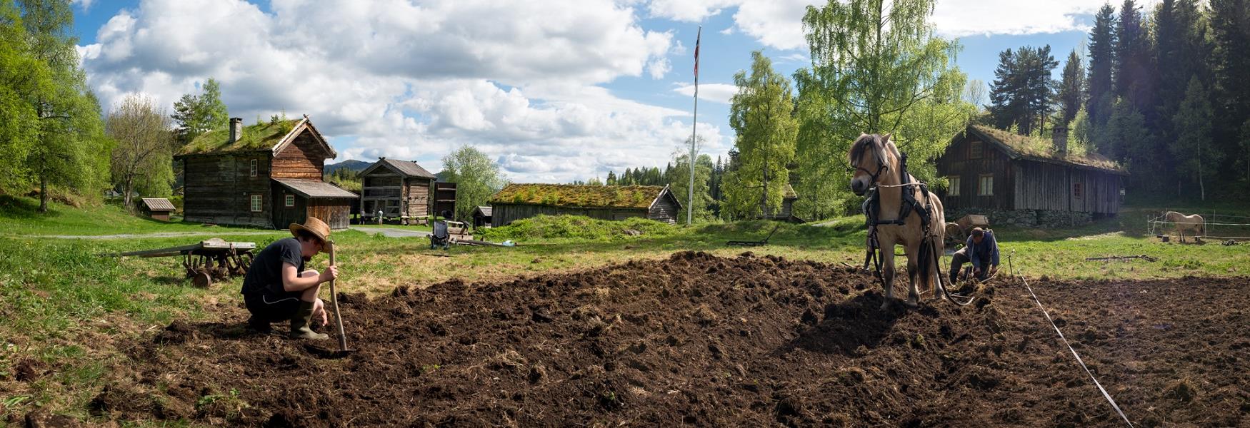 Telemark museum bilder