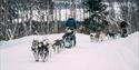 dog sledding with Telemark Husky Tour