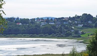 Børsesjø nature reserve