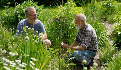 Frøberedskapskurs med Andrew McMillion i samarbeid med KVANN Frøberedskapskurs med Andrew McMillion i samarbeid med KVANN